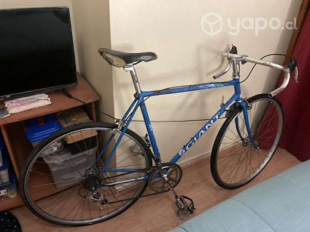 Road Bike Bianchi Pistera Pistera Rutera Giant Bianchi Talla 54 San Bernardo