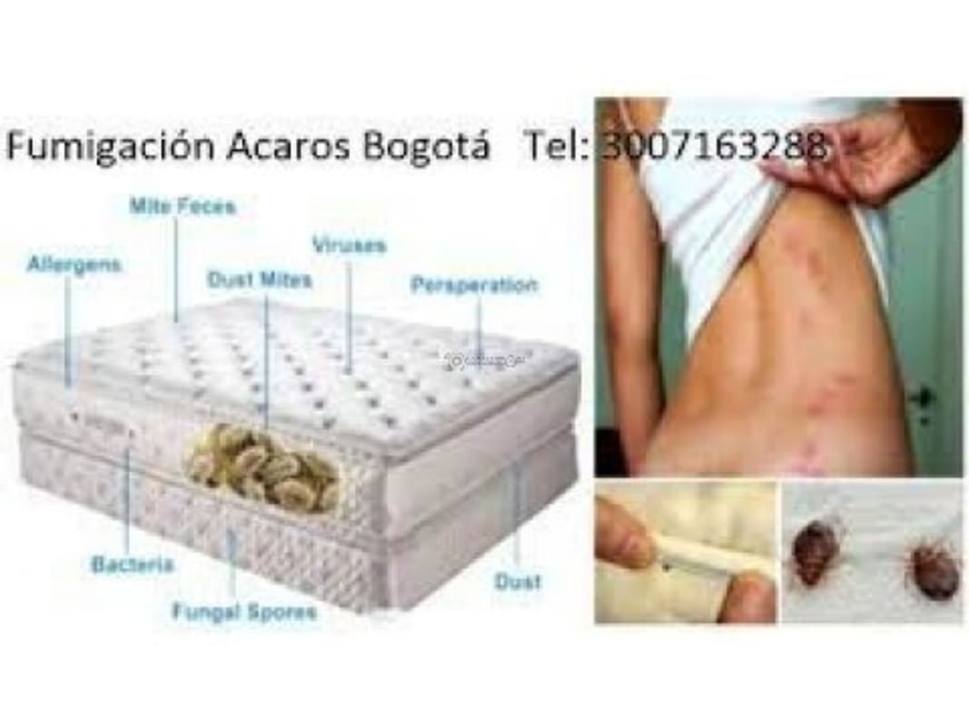 Acaros, fumigacion residencial Bogota  whatsapp