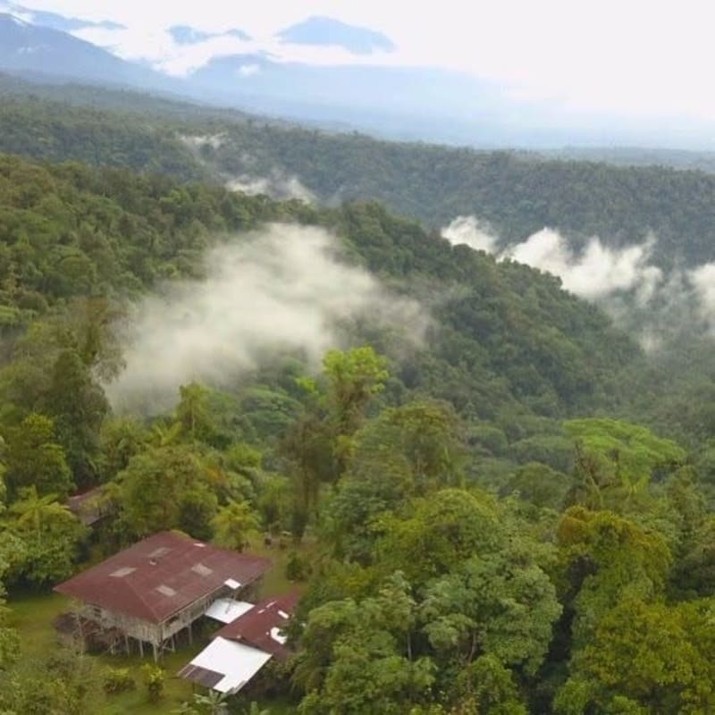 La Danta Salvaje Rainforest Reserve