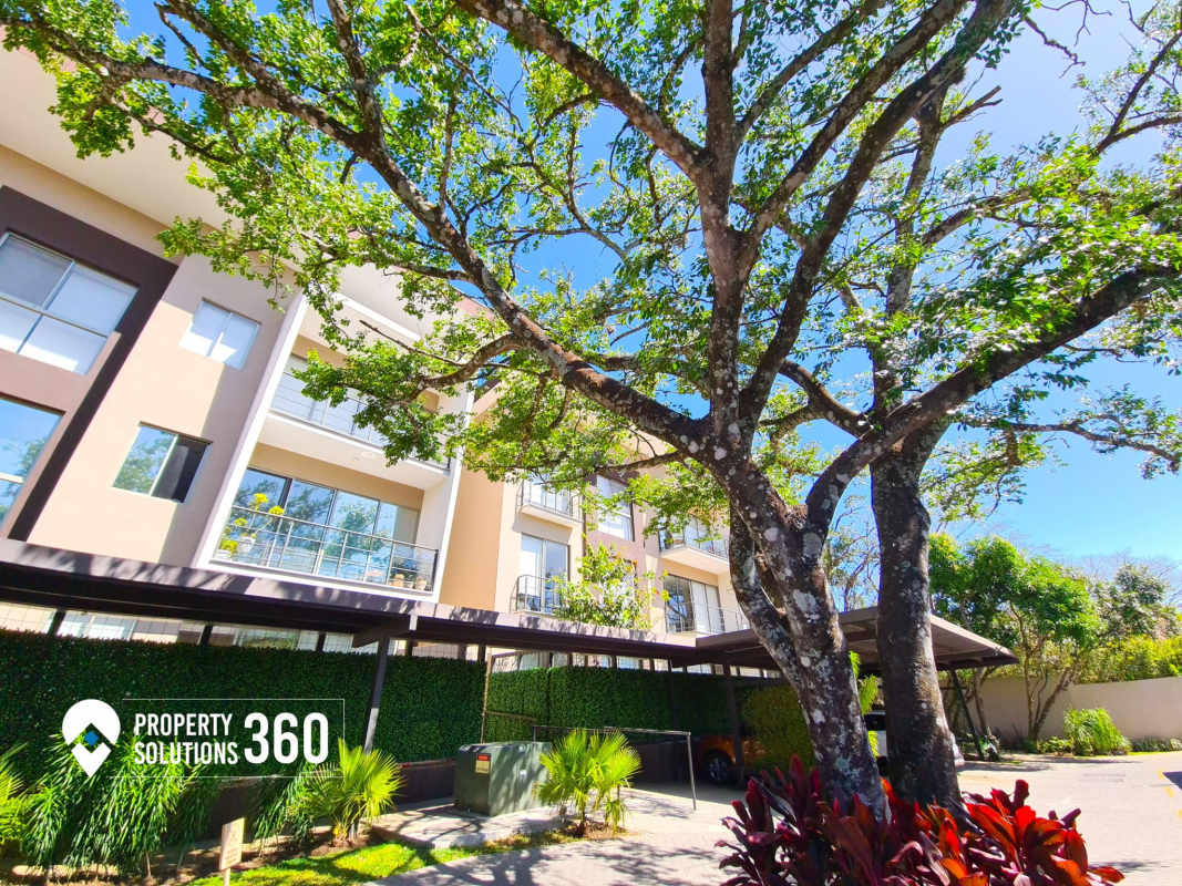 Furnished Apartments & Houses for rent in Santa Ana Rent of Modern