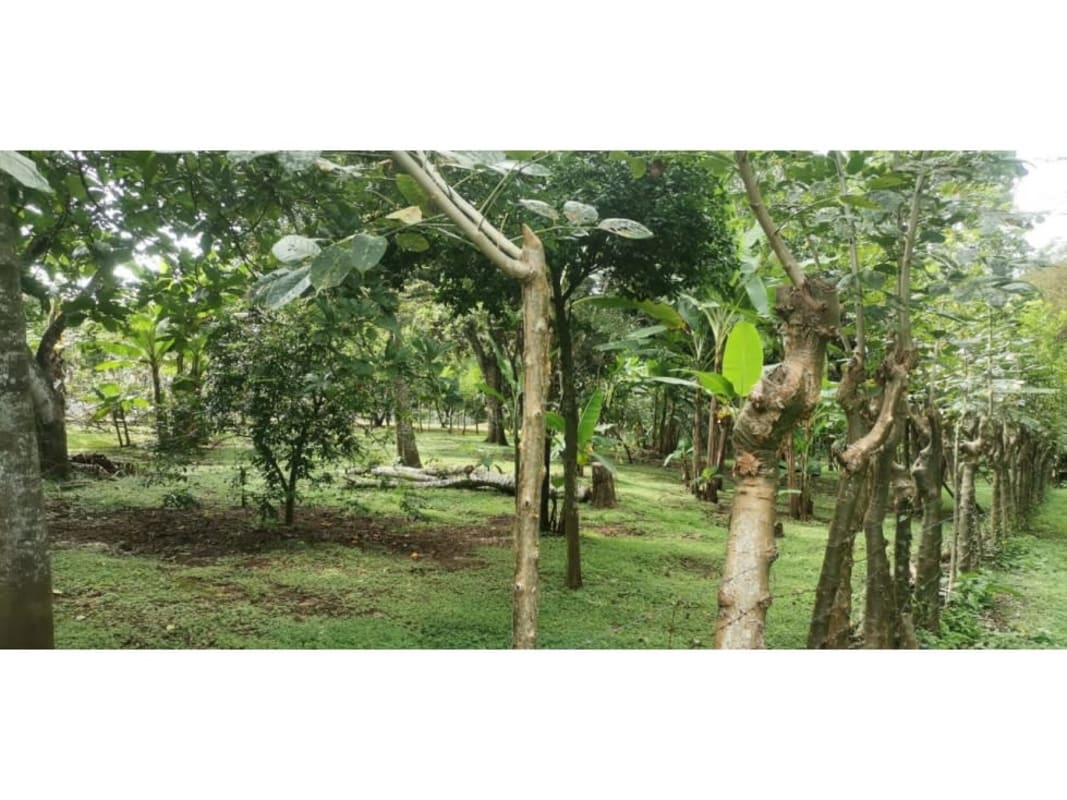 VENTA DE QUINTA, ALAJUELA, OROTINA