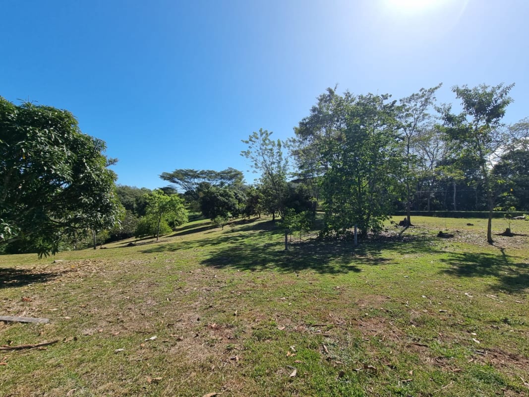 EN VENTA - FINCA 7 Has. – TARCOLES/ GARABITO - CERCA DE PLAYAS