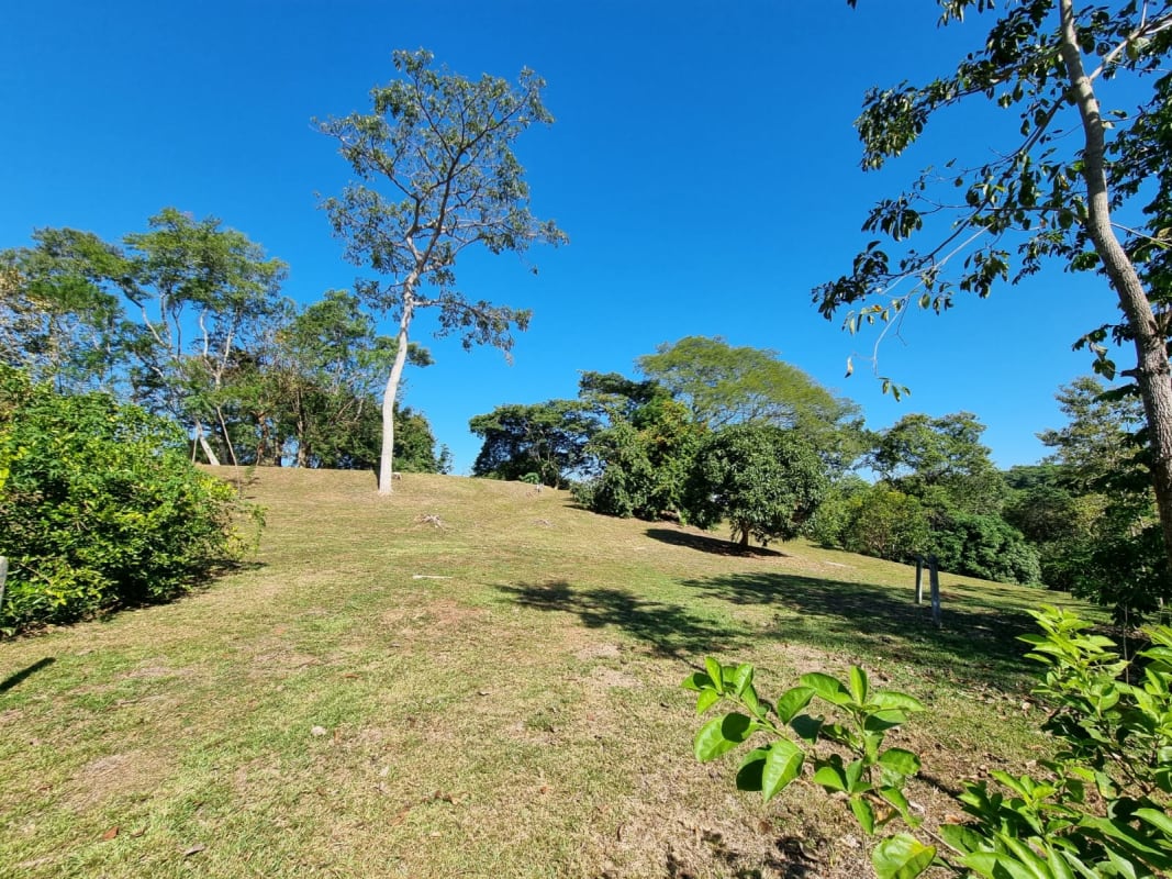 EN VENTA - FINCA 7 Has. – TARCOLES/ GARABITO - CERCA DE PLAYAS