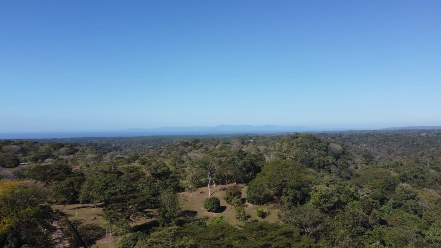 EN VENTA - FINCA 7 Has. – TARCOLES/ GARABITO - CERCA DE PLAYAS