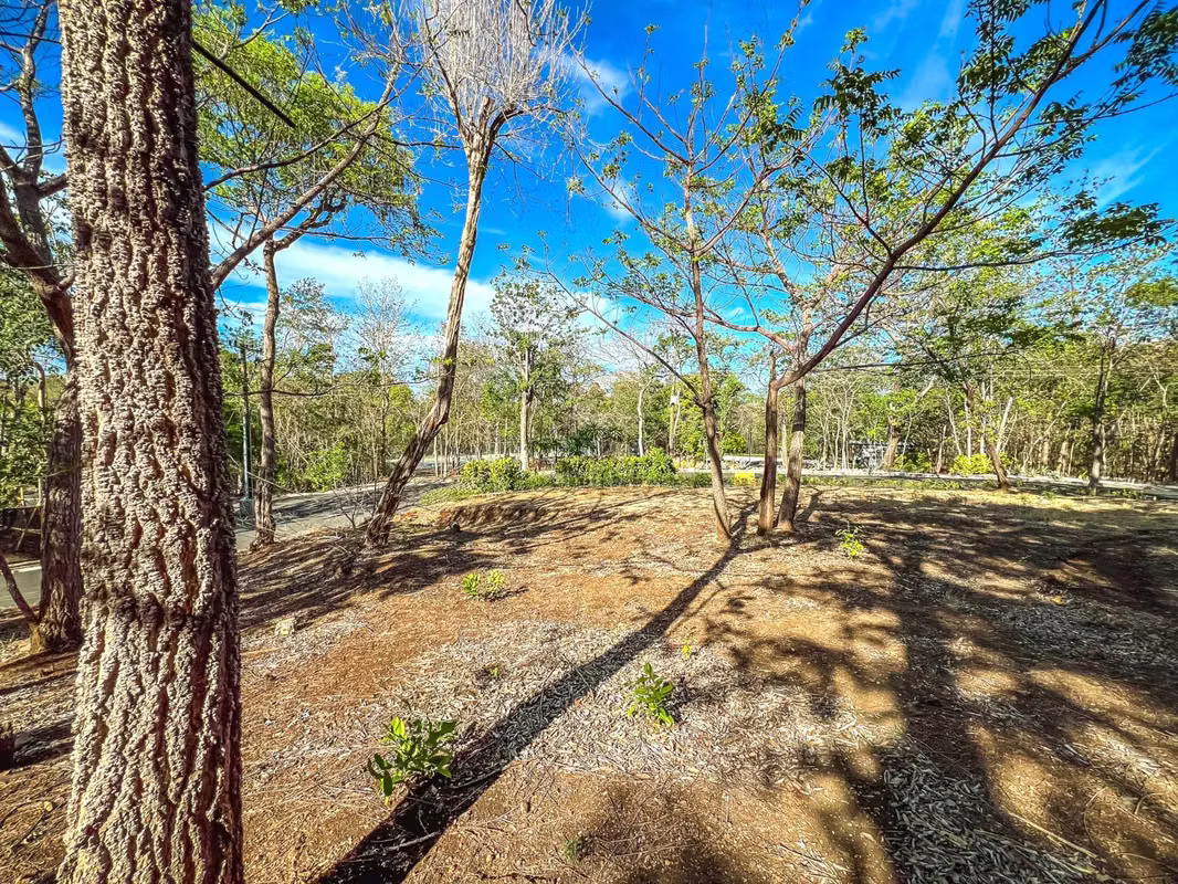 Venta lote oportunidad para inversión, Playa Grande en Guanacaste (PA), photo 3
