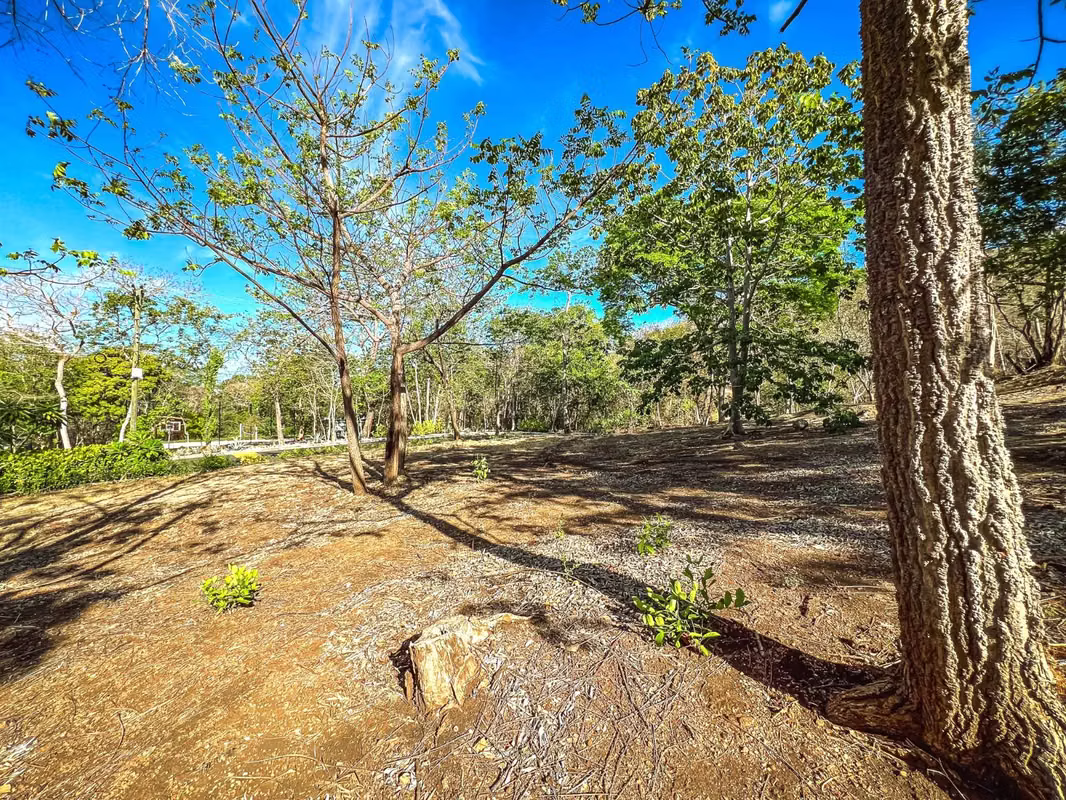 Venta lote oportunidad para inversión, Playa Grande en Guanacaste (PA)