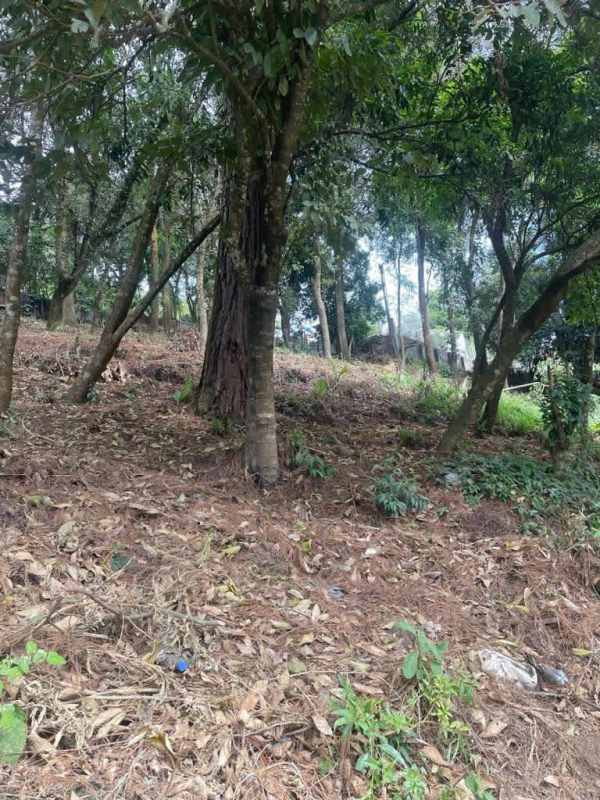 Business property in San Lucas Sacatepéquez Land for sale in the