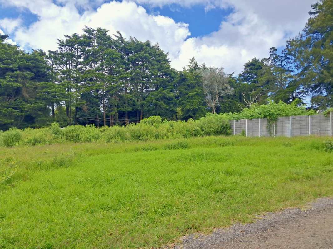 Lotes y Terrenos Carretera a El Salvador | venta | TERRENO EN VENTA EN LOMAS DE SAN NICOLAS KM 21.5 