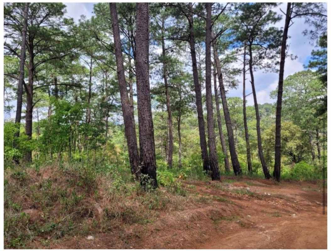 Lotes y Terrenos Zona 6 | venta | Terreno en Venta – San Jorge Yumar, Zona 6 Mixco : USD 143000.00