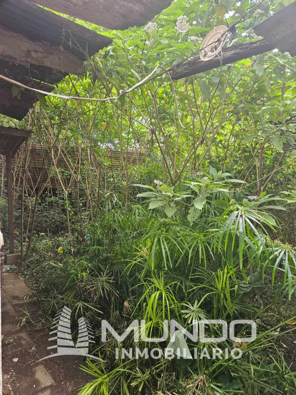 Lotes y Terrenos Zona 6 | venta | TERRENO EN VENTA EN LA 14 AV. DE LA ZONA 6 : GTQ 1400000.00