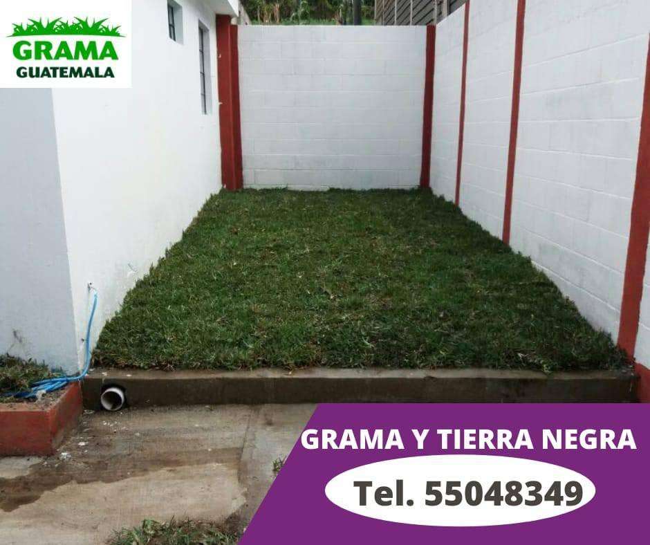 Grama San Agustín instalada en Rollos. | San Miguel Dueñas
