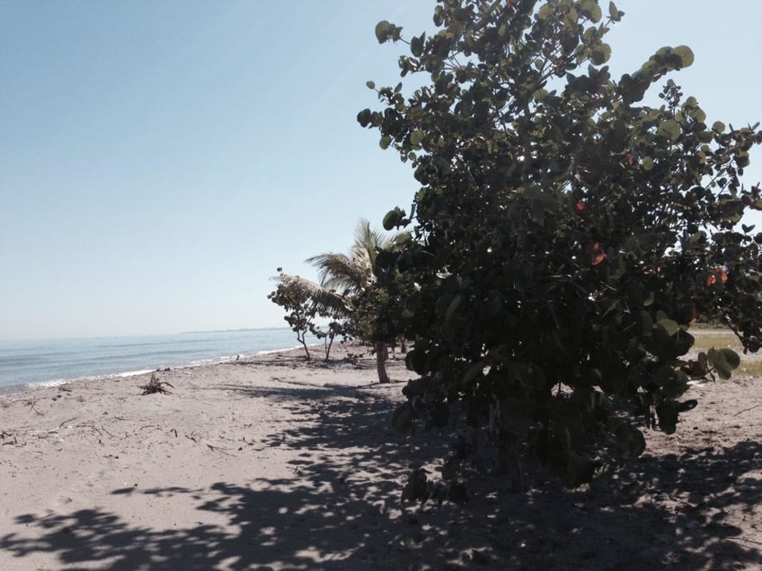 Beachfront Atlantida venta Direct beachfront lot for sale USD