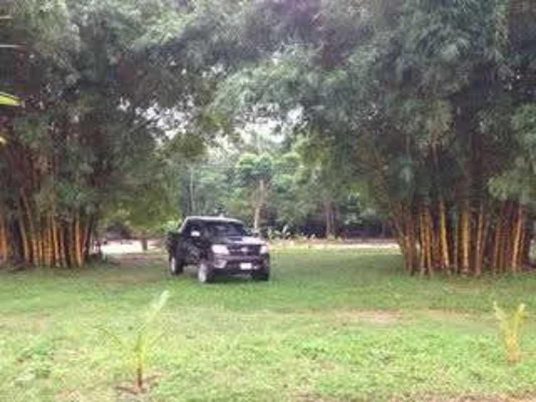 Land Atlantida venta Canal lot with bamboo for sale La Ceiba