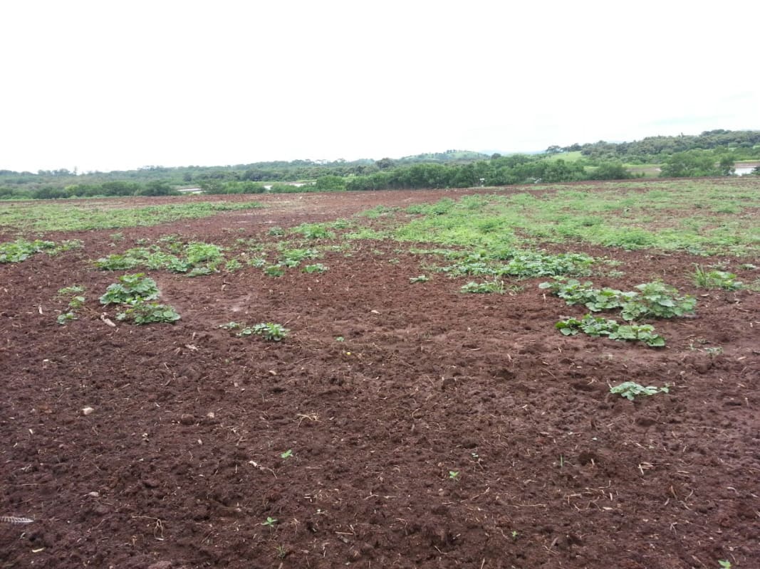 Se vende 38 hectáreas para Camaronena o Residencial.