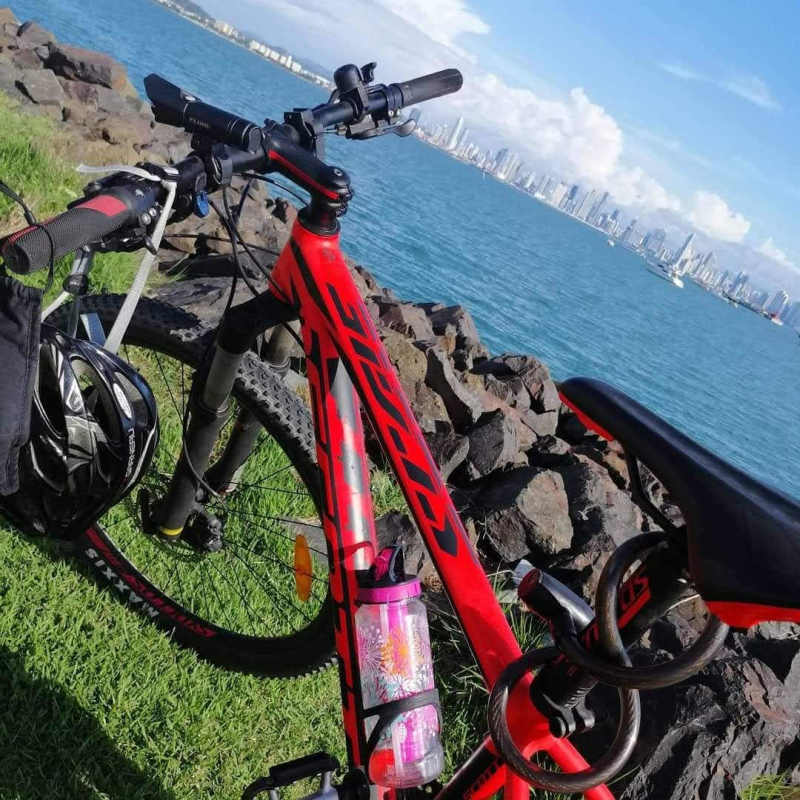 Scott Scale 770 MTB 2016 High Performance Mountain Bike Like New Panama