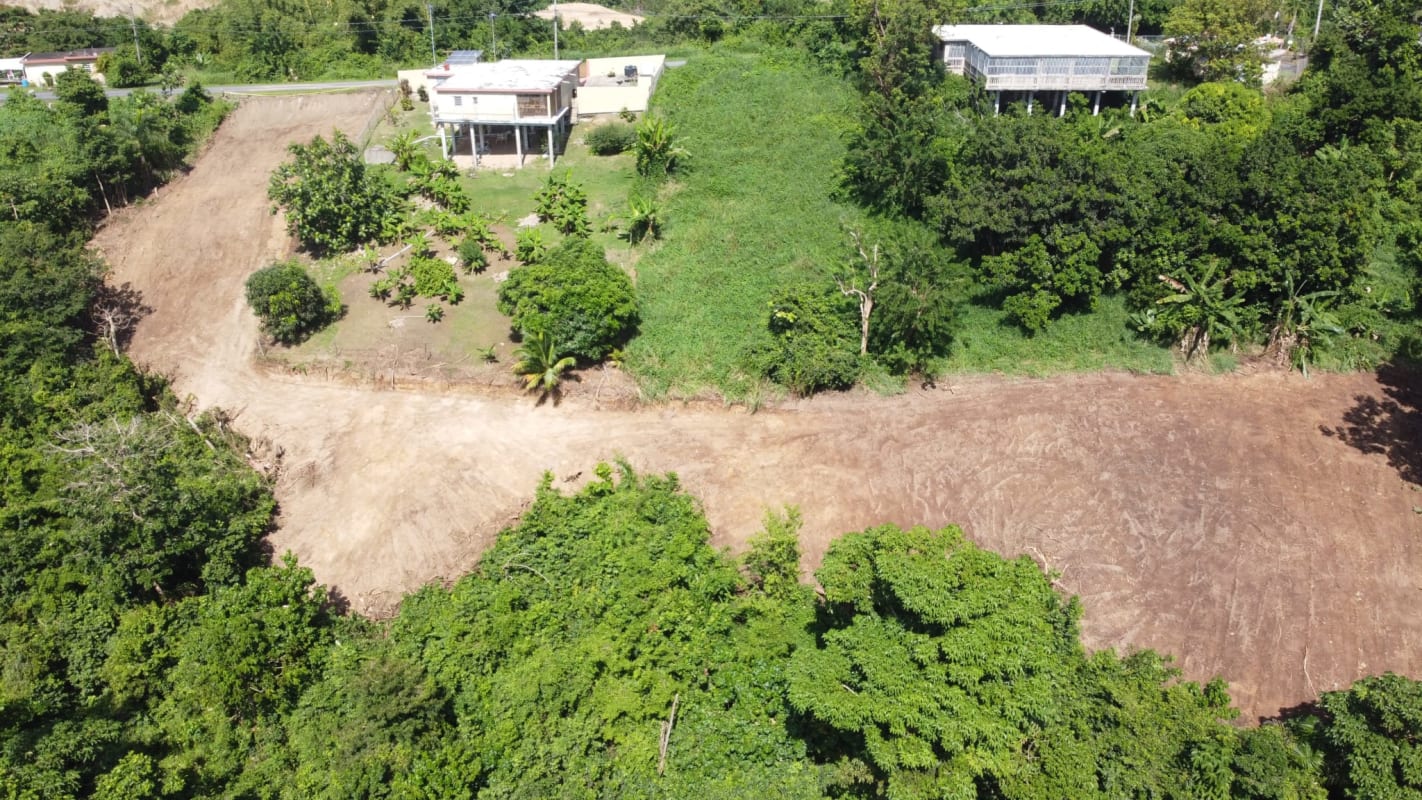 Land Humacao venta Venta de terreno en Bo Buna Vista en Humacao