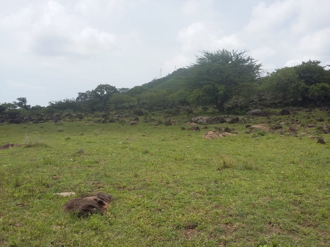 VENTA  TERRENO 136 MANZANAS BELEN GUIJAT METAPAN SANTA ANA