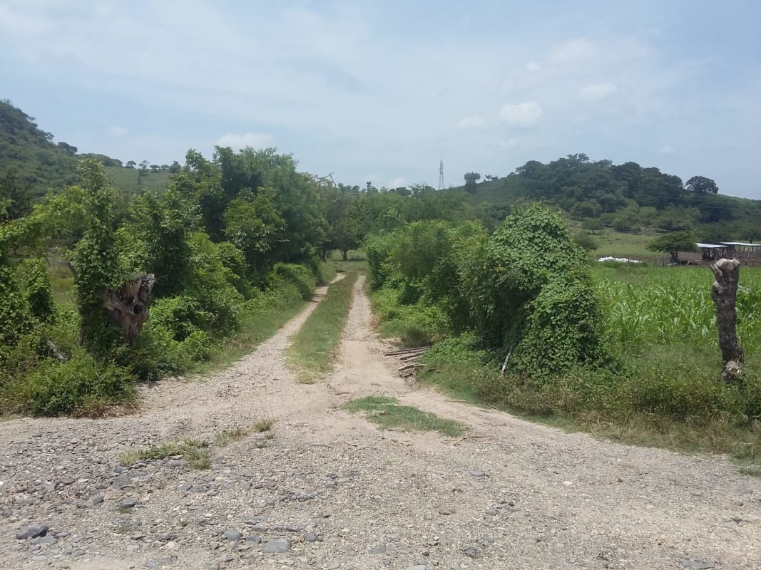VENTA  TERRENO 136 MANZANAS BELEN GUIJAT METAPAN SANTA ANA