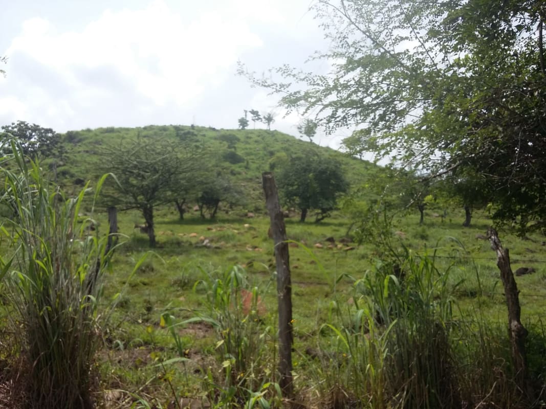 VENTA  TERRENO 136 MANZANAS BELEN GUIJAT METAPAN SANTA ANA
