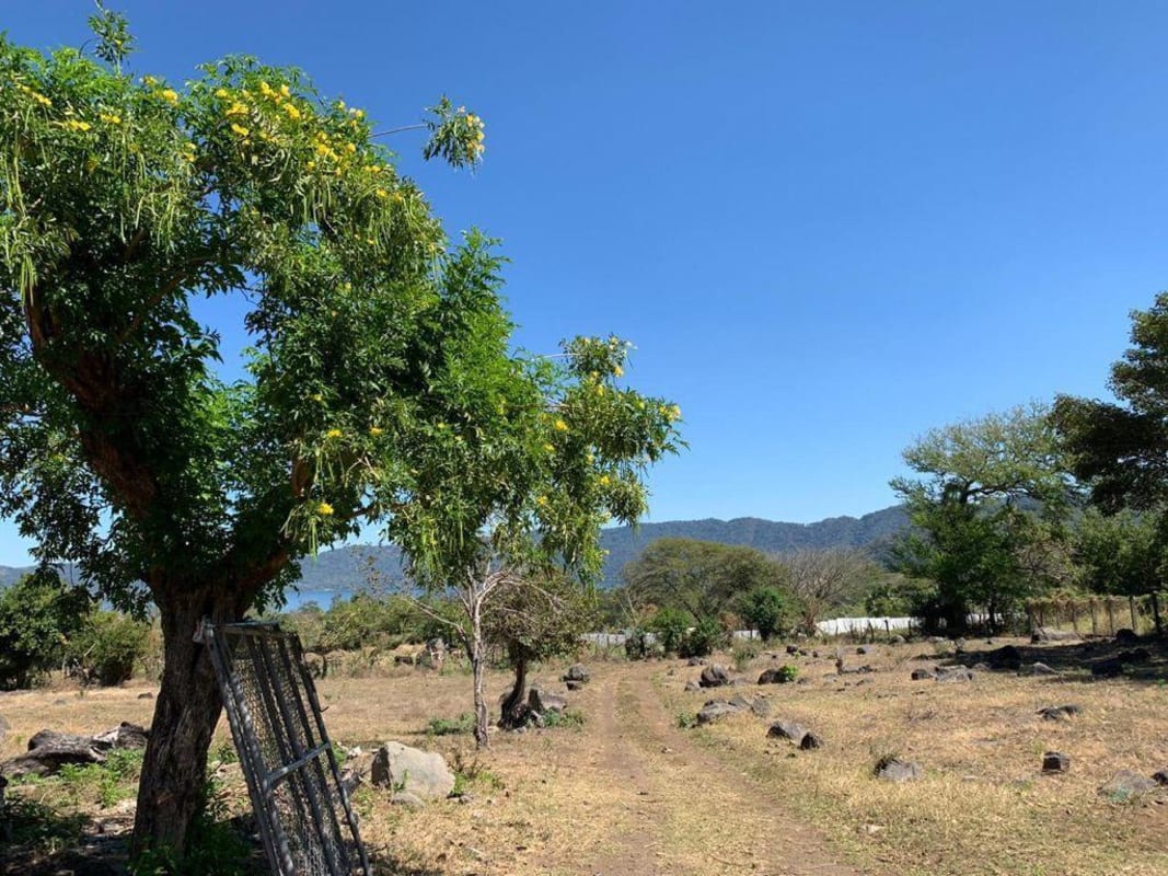 En venta lotes grandes con vista al lago de Coatepeque