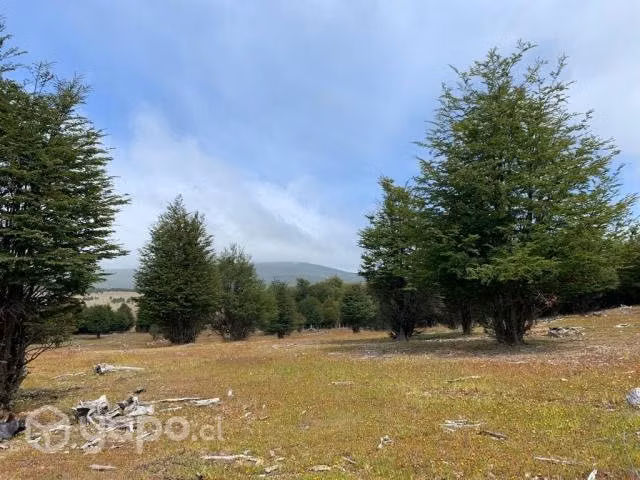 Loteo parcelación villa renoval última esperanza
