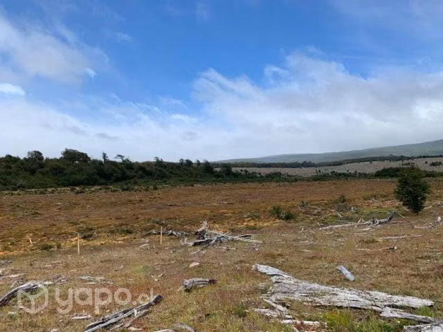 Loteo parcelación villa renoval última esperanza