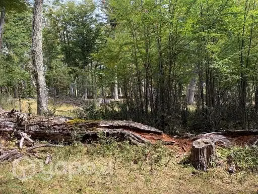 Loteo parcelación villa renoval última esperanza