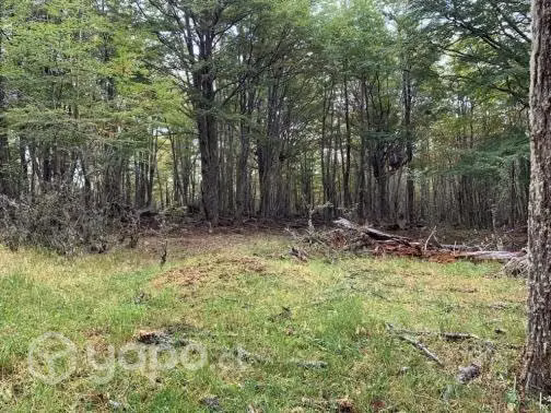 Loteo parcelación villa renoval última esperanza