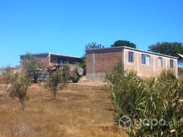 Vendo 23 hectareas - Imagen 2