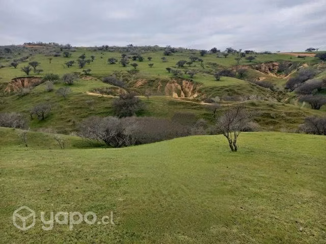 Parcela de agrado Marchigue