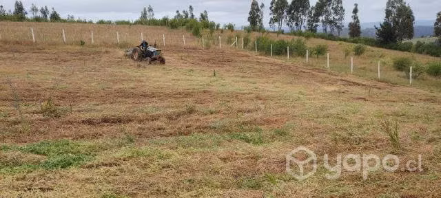 Terreno Guarilihue Alto