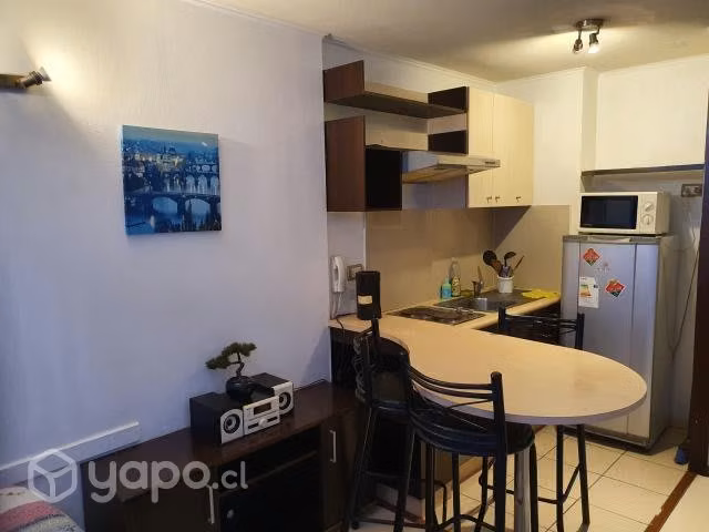 Departamento año corrido metro Santa Lucia - Imagen 7