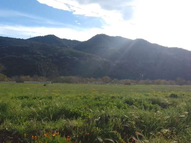 ¡VENTA DE PARCELAS EN COYA!