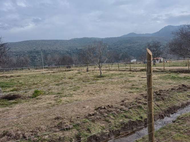 Terrenos en Coya - Imagen 3
