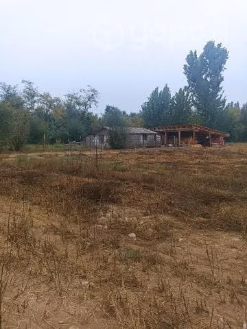 Media hectárea en Linares , sector vara gruesa