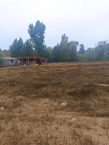 Media hectárea en Linares , sector vara gruesa