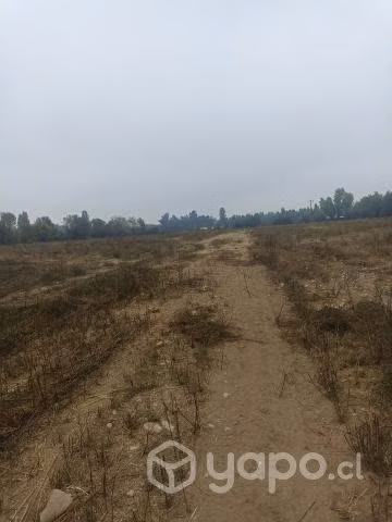 Media hectárea en Linares , sector vara gruesa
