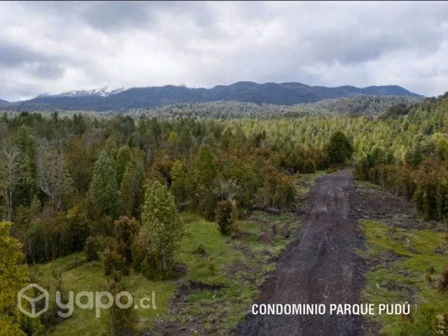 Terreno para inversión en Puerto Varas