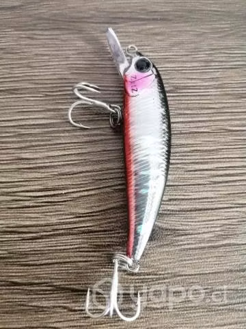 Minnows Palms