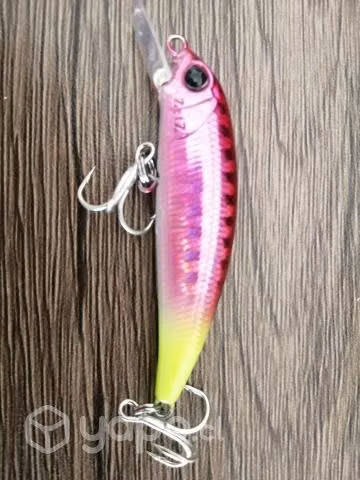 Minnows Palms