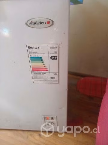 Congeladora madensa - Imagen 6