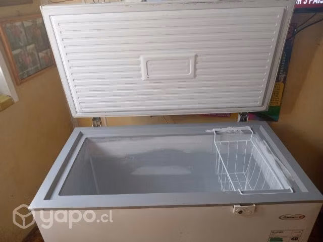 Congeladora madensa - Imagen 5