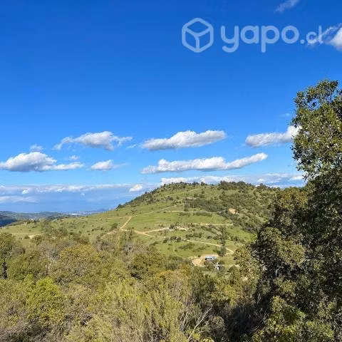 Parcela septima region, comalle