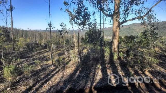 Se vende terreno en Casablanca, Melosilla