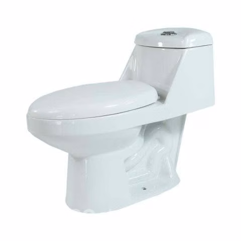 Wc rohoi one piece valdivia 73 x 34.5 x 64.5 cm