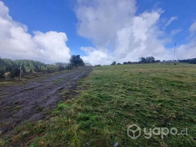 Parcela 5000m2 - Imagen 4