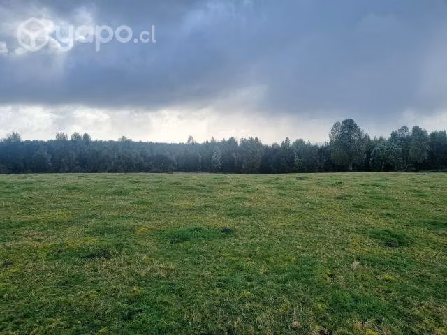Parcela 5000m2 - Imagen 3