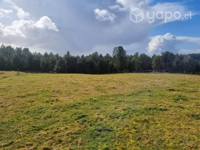 Parcela 5000m2 - Imagen 2