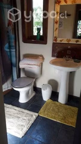Arriendo casa compartida o completa