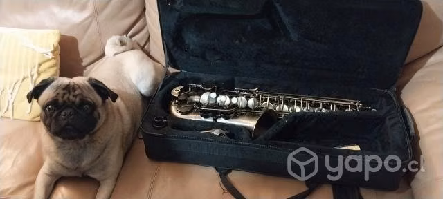 Saxofón alto